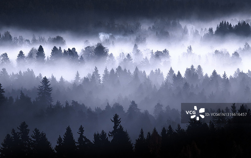 神奇的蓝色雾林早晨，奥兰科，哈梅林纳，芬兰图片素材