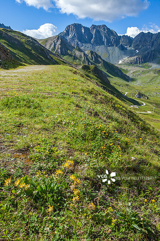 夏天的瑞士阿尔卑斯山图片素材