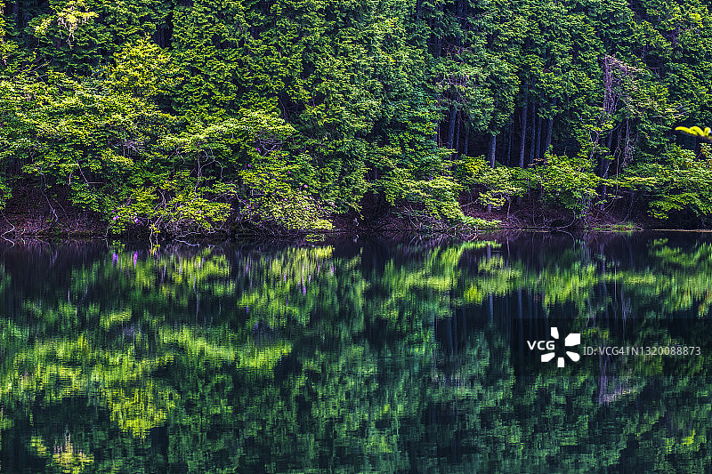 反射。湖面上的森林。Nabari,米氏日本图片素材