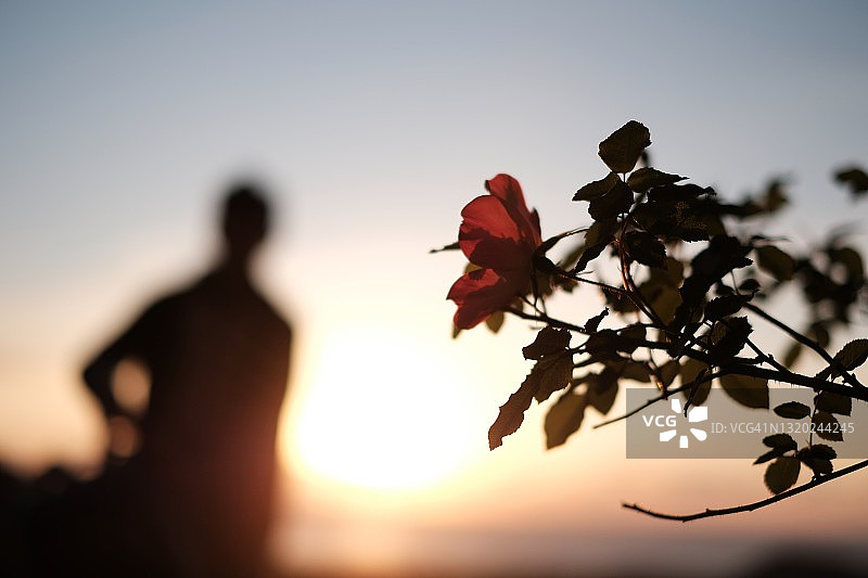男孩站在晨光中，花就在前面图片素材