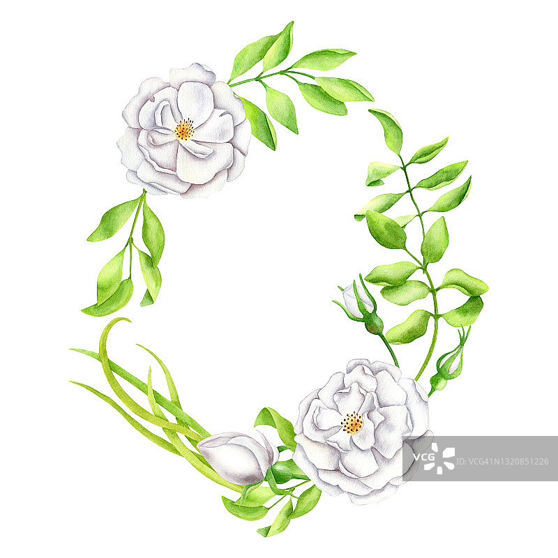 水彩花环。手绘的白色花园玫瑰花与叶和芽。绿叶相框的卡片，婚礼请柬，保存日期，婴儿送礼会，横幅。优雅的花模板剪纸。图片素材