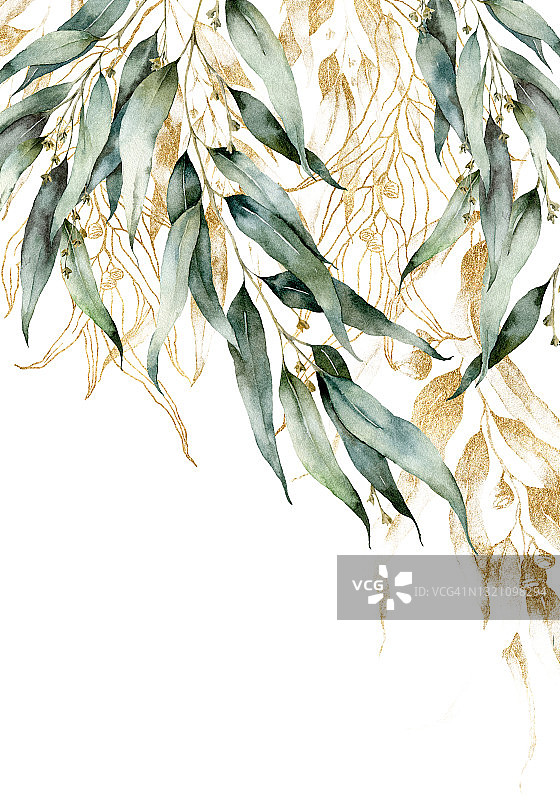 水彩边缘的金色桉树的树枝，种子和线形的叶子。白色背景上孤立的植物手绘卡片。花卉插图设计，印刷，织物或背景。图片素材