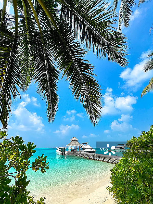 热带马尔代夫岛背景。有游艇的码头，碧绿的泻湖水域和晴朗夏日的蓝天。图片素材