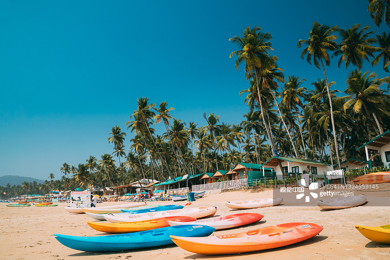 Canacona,印度果阿。在夏天阳光明媚的日子里，在著名的Palolem海滩上停靠着一棵高大的棕榈树图片素材