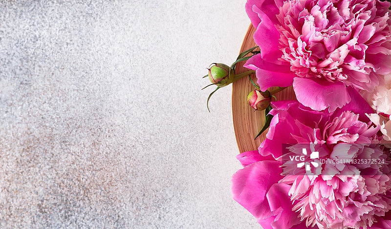 盛开的牡丹花，室内装饰图片素材
