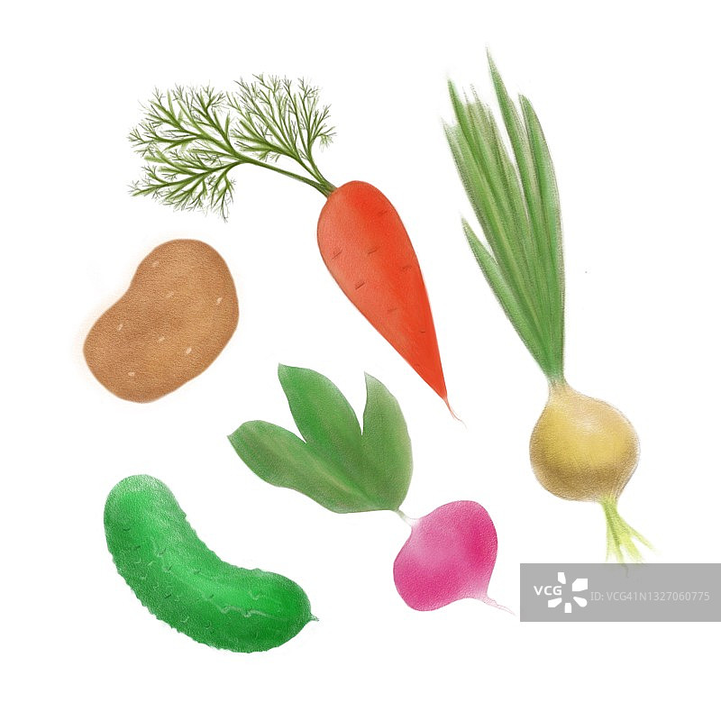 蔬菜组手绘铅笔插图胡萝卜，土豆，萝卜，洋葱，黄瓜图片素材