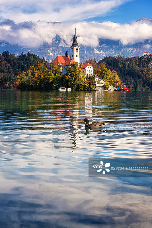 斯洛文尼亚著名的高山布莱德湖(Blejsko jezero)，令人惊叹的秋天风景。湖景，岛与教堂，蓝天与云彩和倒影在水中图片素材