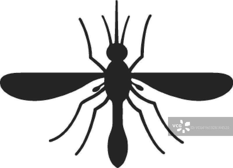蚊子图片素材