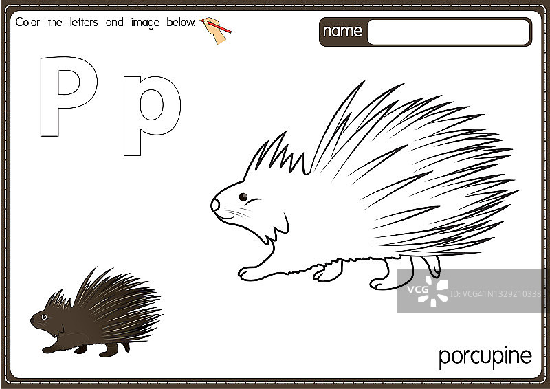 矢量插图的儿童字母着色书页与概述剪贴画，以颜色。字母P代表豪猪。图片素材