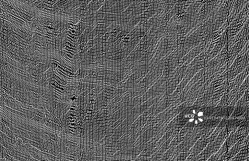 抽象黑色和白色的背景与圆圈。动态粒子数组。圆点图案。纹理。矢量插图。图片素材