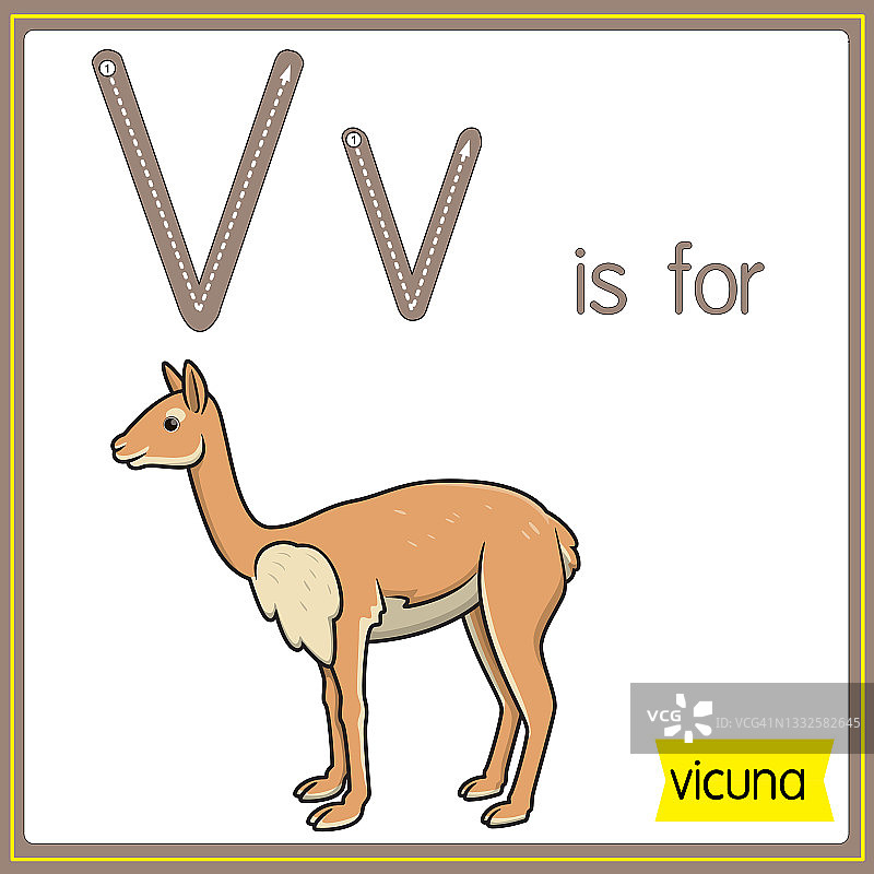 矢量插图学习字母为儿童与卡通形象。字母V代表小羊驼毛。图片素材