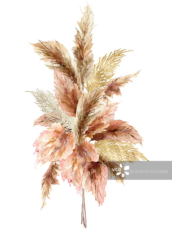 水彩热带花束与干燥的蒲苇草和黄金纹理。手工绘制的异国情调的卡片孤立在白色的背景。花卉插图的设计，印刷，织物或背景。图片素材