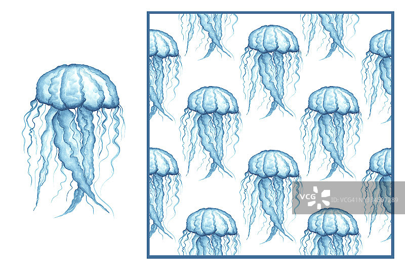 集-蓝色水母隔离在白色背景和无缝模式。水彩插图。海洋生物。Ia壁纸设计图片素材