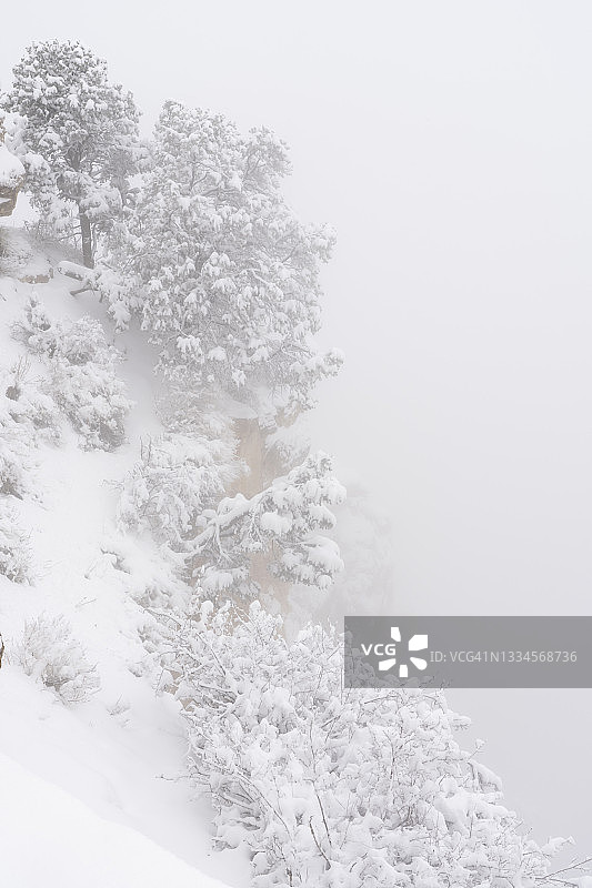 大峡谷国家公园南缘的新雪图片素材