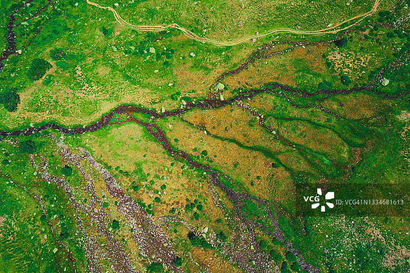 鸟瞰图的河流分枝在绿色的夏季景观。图片素材