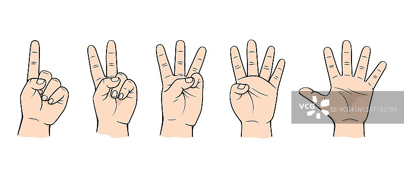 用于儿童早期数数教学的手指教材插图
手-身体部位编号0 1 2 3 4 5图片素材