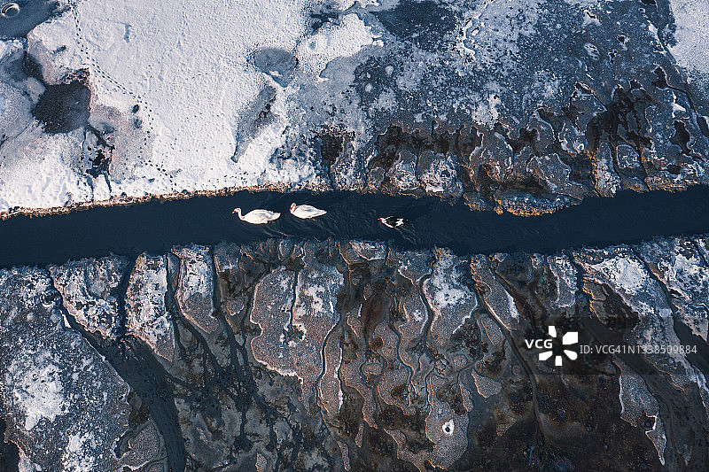 结冰的天鹅河图片素材
