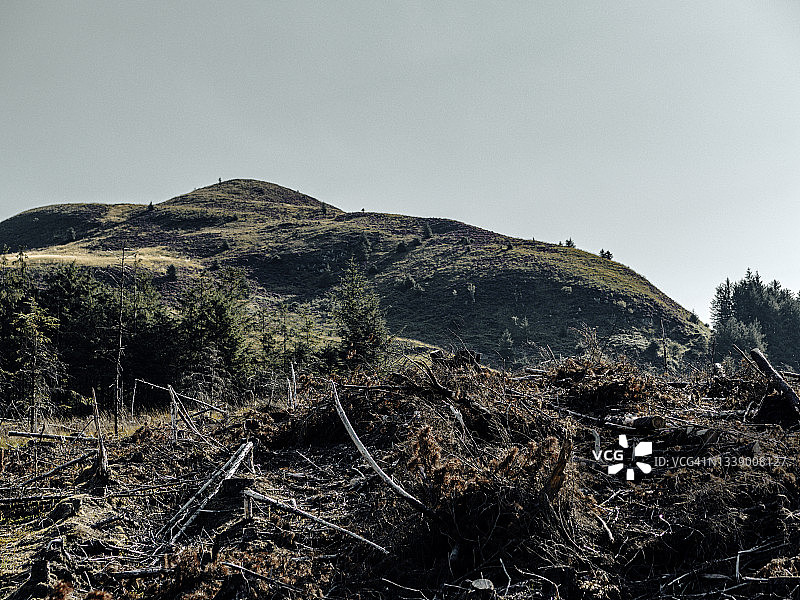 苏格兰高地的森林砍伐图片素材