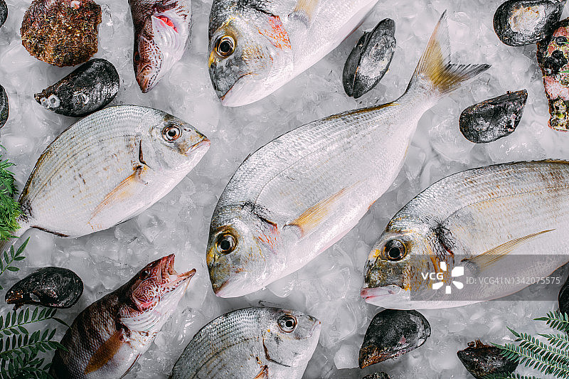 鲜鱼和海鲜在冰上图片素材