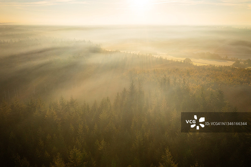 森林上空雾蒙蒙的早晨的航拍照片图片素材