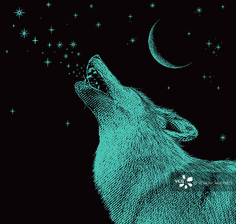 灰狼对着月亮嚎叫图片素材