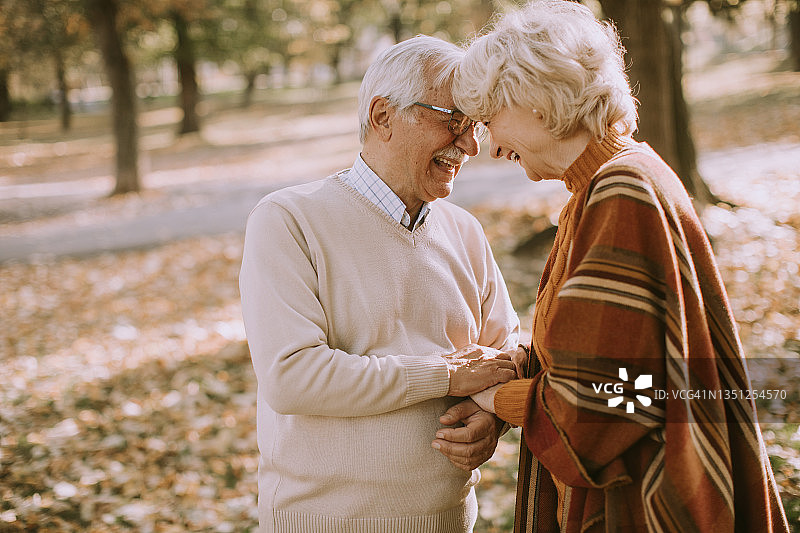 老年夫妇在秋天公园拥抱图片素材