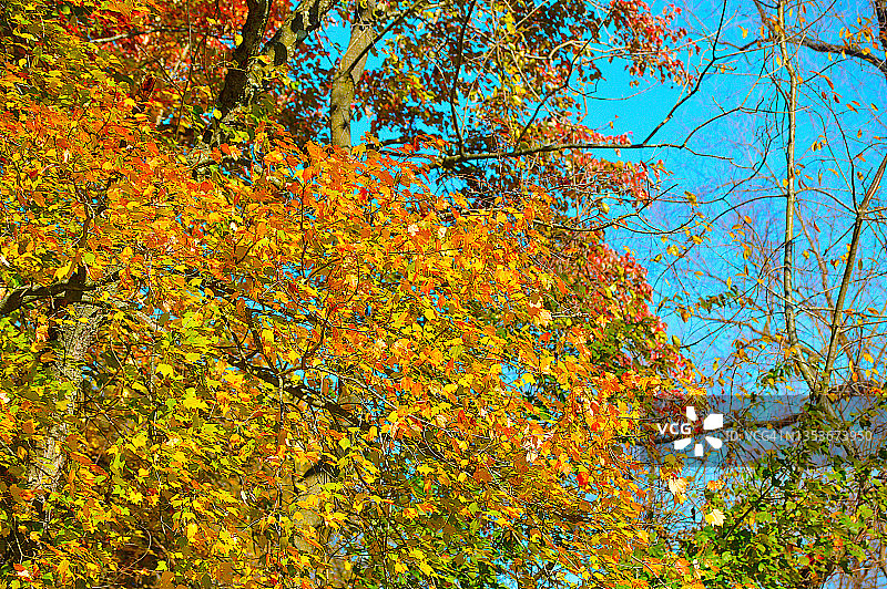 宾夕法尼亚的秋色图片素材