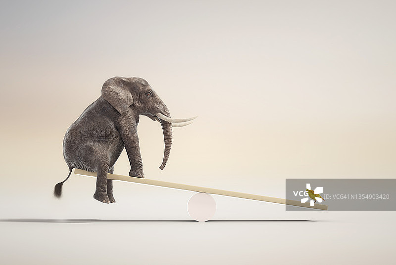 大象和金丝雀保持平衡。心态和技能概念。这是一个3d渲染图图片素材