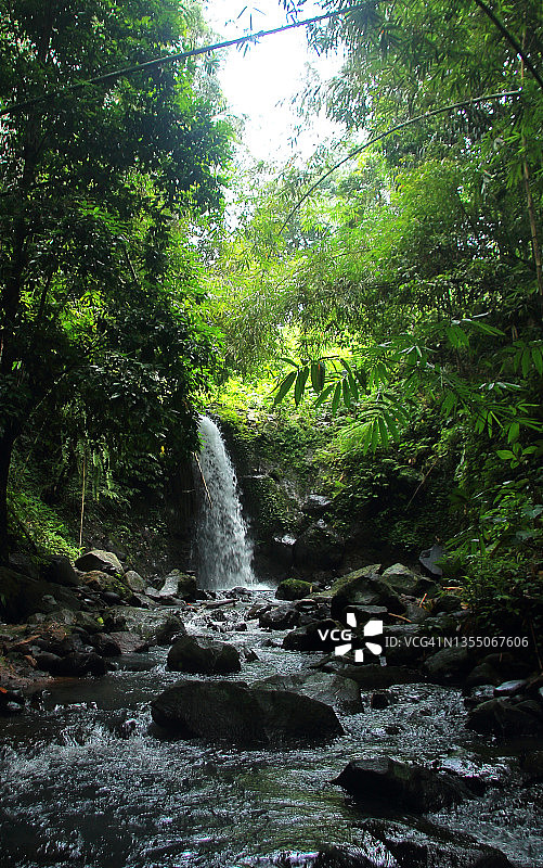 巴厘岛热带雨林中的瀑布图片素材