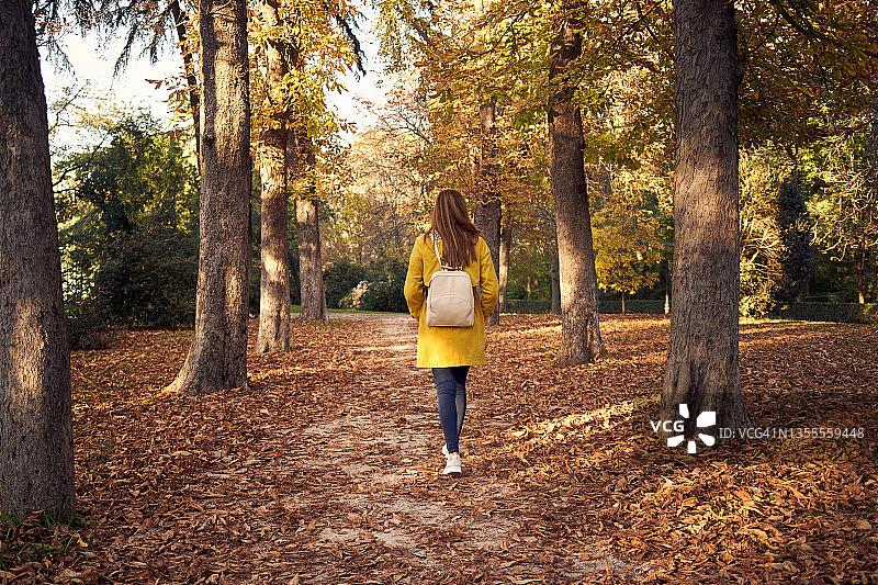 无法辨认的年轻女子穿着休闲服，穿着黄色外套，背着双肩包，在秋天树木环绕的公园里走着。图片素材