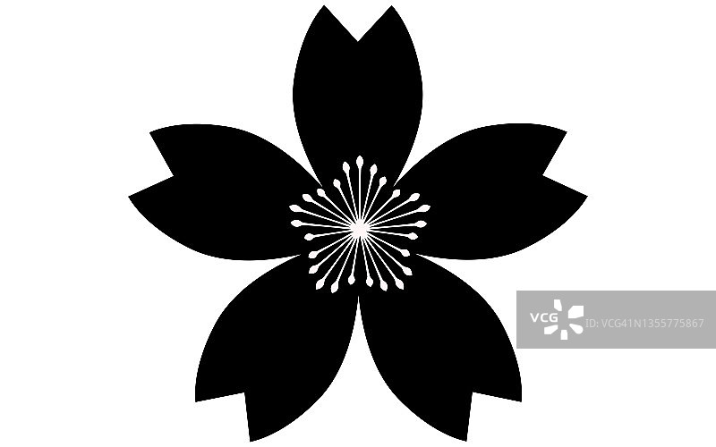 樱花，黑色花瓣和白色雄蕊图片素材