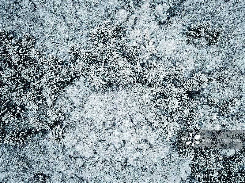 冬季森林鸟瞰图图片素材