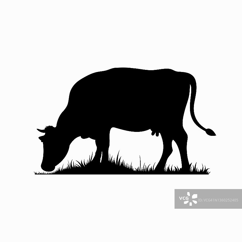 矢量轮廓的奶牛。牧场草地上的农场动物。图片素材
