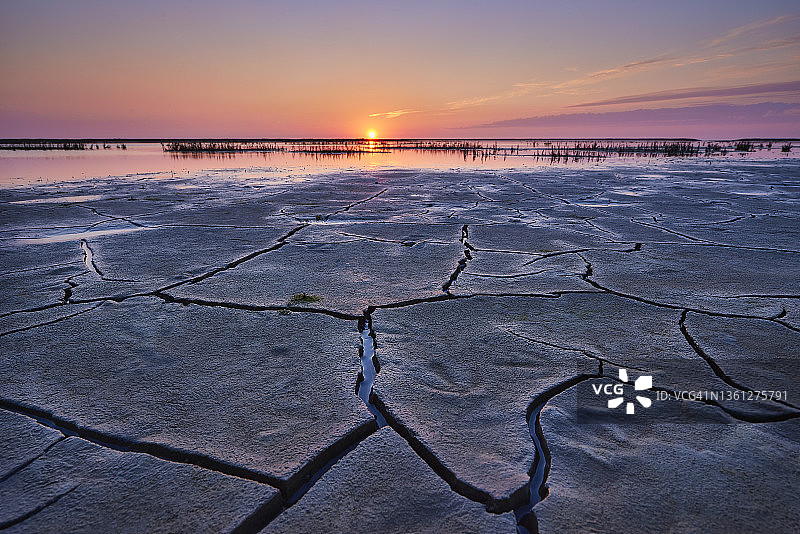 日落时瓦登海的潮滩图片素材