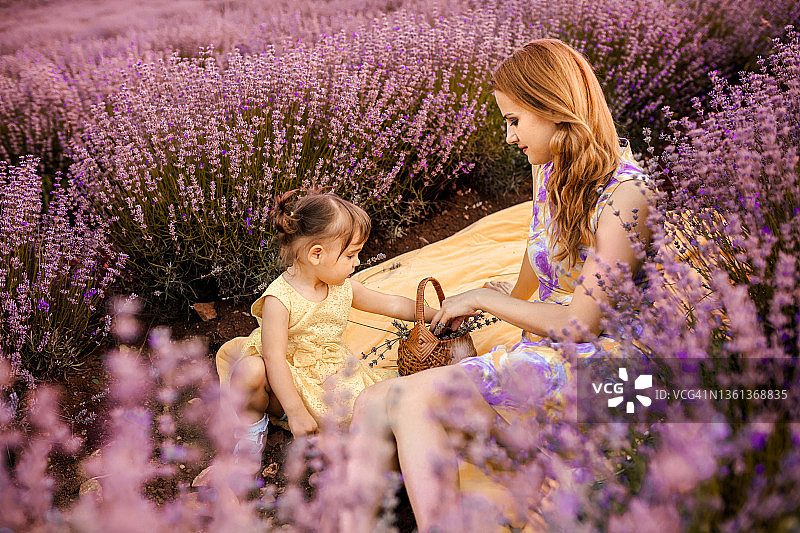 薰衣草地里，母女俩坐在野餐毯子上图片素材