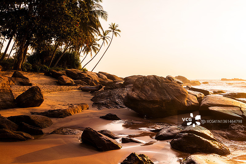 日落在椰子树的沙滩上。塞舌尔图片素材