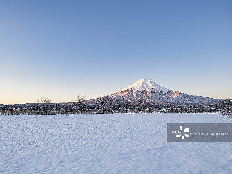 雪原の奥に耸える冬の朝の富士山 (Mt. Fuji over Snowy Field in a Winter Morning)图片素材