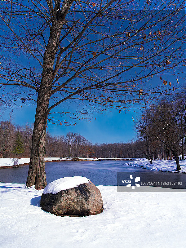 雪中的池塘公园图片素材