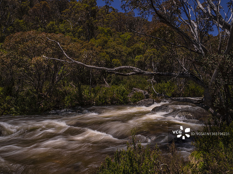 新南威尔士州南部雪山地区，强降雨后的斯瑞博河图片素材