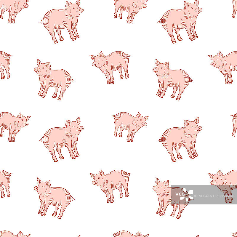 向量无缝图案与可爱的猪，小猪。图片素材