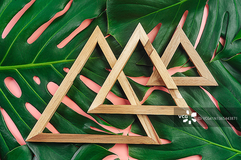 时尚概念与绿色热带树叶的Monstera Philodendron和木制三角形数字在柔和的珊瑚粉红色背景。图片素材