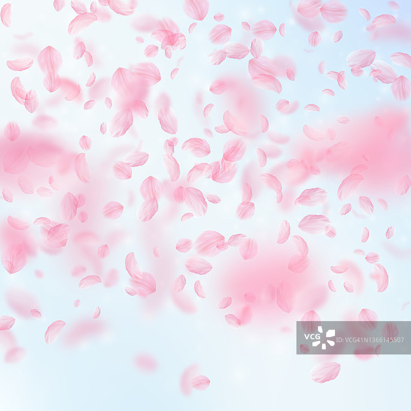 樱花花瓣飘落。浪漫的粉红色花朵梯度。飞舞的花瓣在蓝天广场的背景。爱情,浪漫的概念。令人愉快的婚礼邀请图片素材