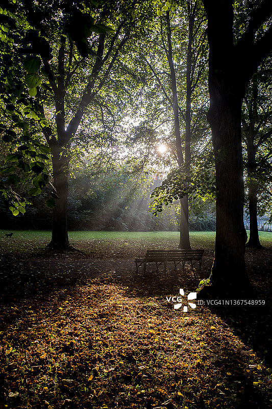 秋天的太阳和公园的长椅图片素材
