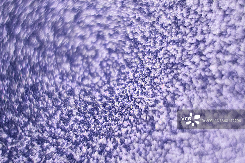 散焦的紫色抽象背景，模糊的散景。图片素材