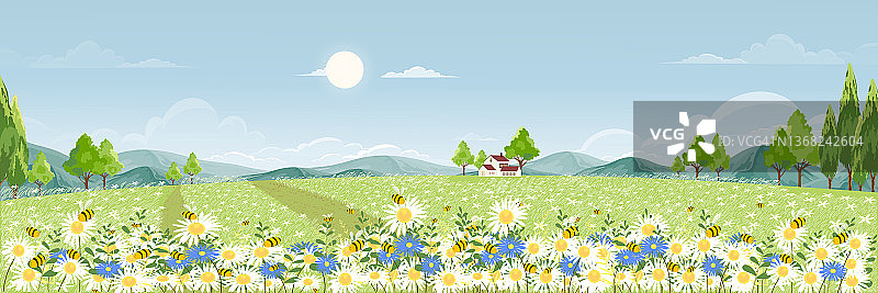 春天的田野，蓝天上飘着蓬松的云彩，可爱的卡通全景乡村景观，绿色的草地上蜜蜂在阳光明媚的夏天采集花粉，矢量背景横幅为春天图片素材