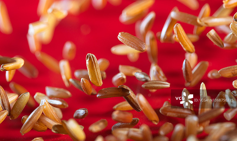 谷物红米在红色背景的半空中飞行图片素材