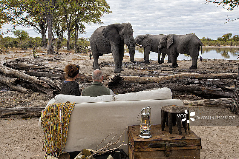 日落时分，游客们坐在狩猎旅社前的水坑里观看大象饮水图片素材