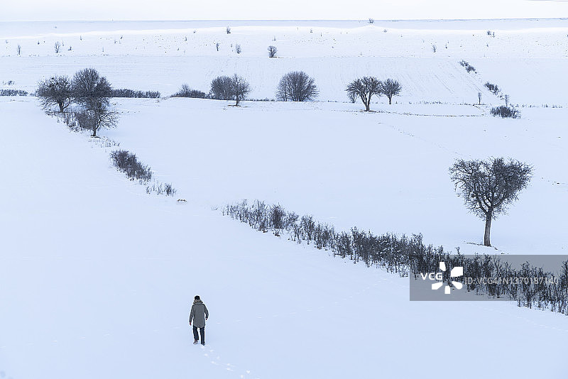 在白雪皑皑的平原上可以看到树木和线条灌木。 人类走向树木的背景图片素材