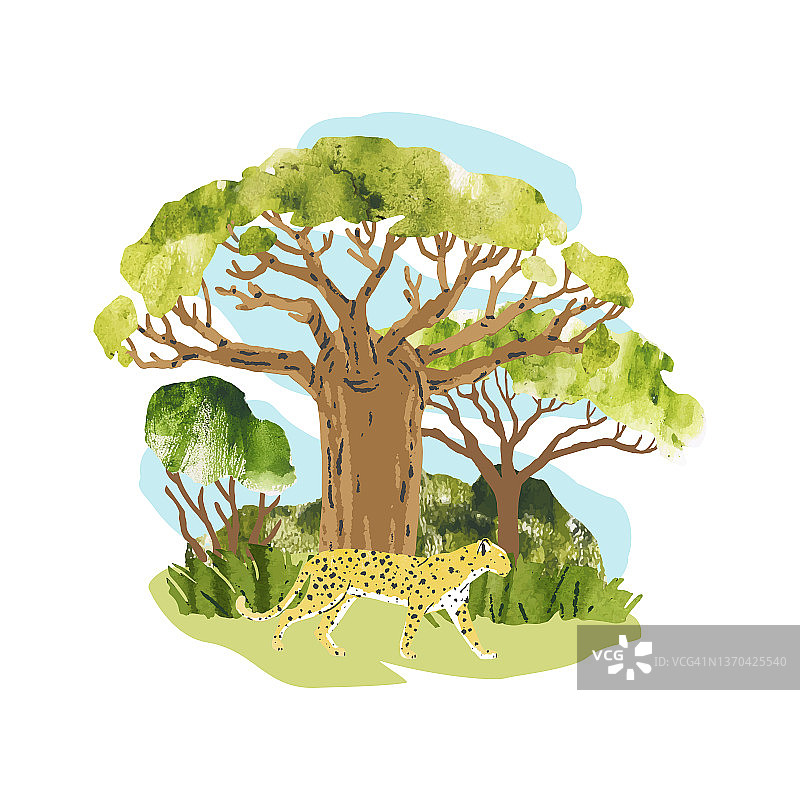非洲。媒介猴面包树，刺槐树和豹子。明亮的手绘矢量插图与树，植物和动物印刷，横幅，贴纸，卡片图片素材