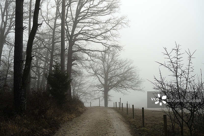 雾中的沃珀斯维尔附近的土路图片素材